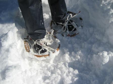 Photo_8