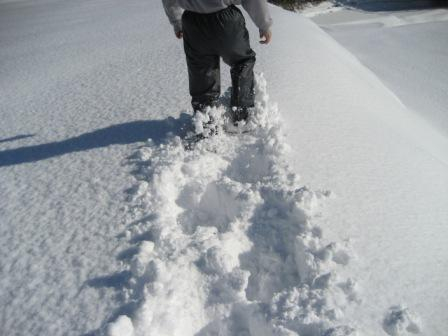 Photo_9