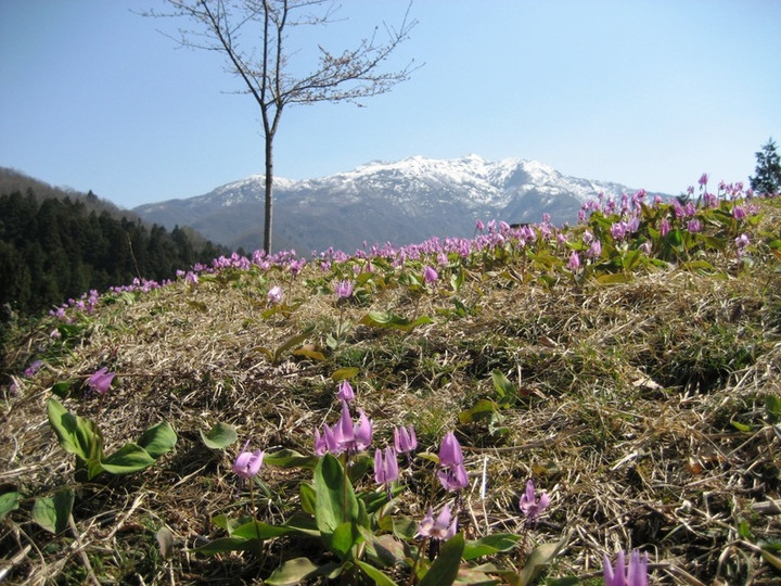 Photo_2