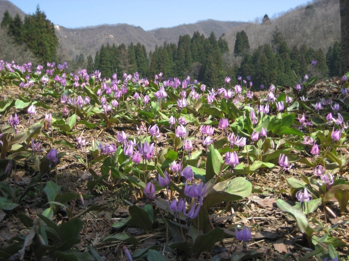 Photo_4